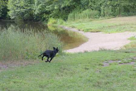 20250711_Dog park__DSC0332_.jpg