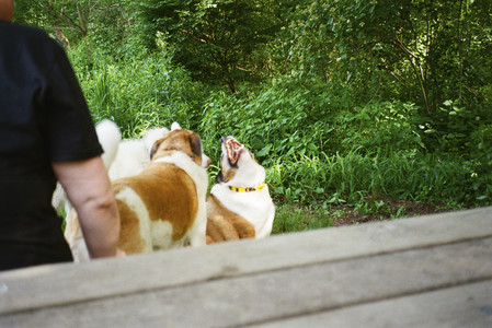 20250712_Film mom trip_000053970001_.jpg