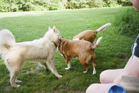 20250712_Film mom trip_000053970002_.jpg