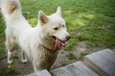 20250712_Film mom trip_000053970003_.jpg