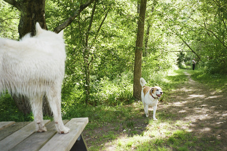 20250712_Film mom trip_000053970009_.jpg