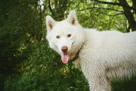 20250712_Film mom trip_000053970010_.jpg