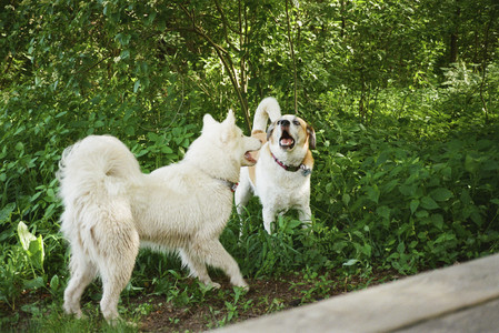 20250712_Film mom trip_000053970011_.jpg