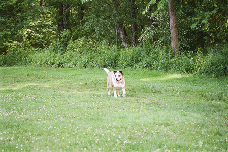 20250712_Film mom trip_000053970012_.jpg