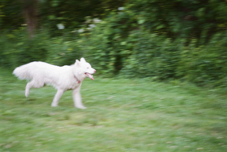 20250712_Film mom trip_000053970013_.jpg