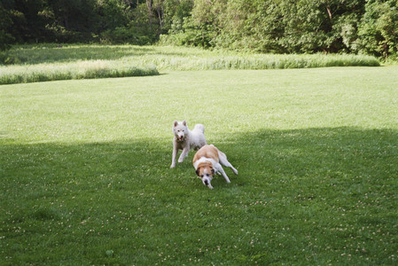 20250712_Film mom trip_000053970014_.jpg