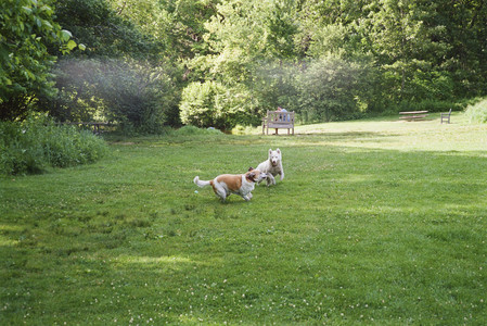 20250712_Film mom trip_000053970015_.jpg