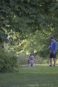 20250713_Dog Park and flowers and light__DSC0026_.jpg