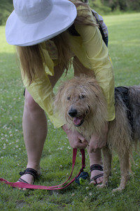 20250713_Dog Park and flowers and light__DSC0078_.jpg