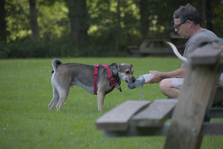 20250713_Dog Park and flowers and light__DSC0428_.jpg