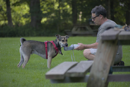 20250713_Dog Park and flowers and light__DSC0434_.jpg