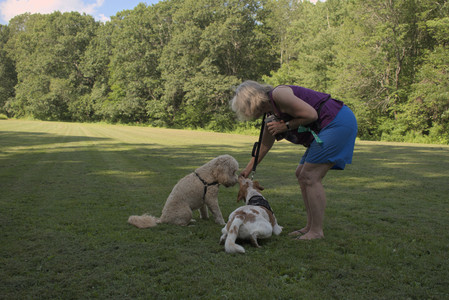 20250716_Dog Park__DSC0040_.jpg