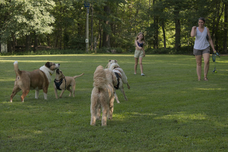 20250716_Dog Park__DSC0066_.jpg