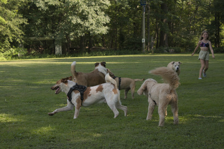 20250716_Dog Park__DSC0068_.jpg