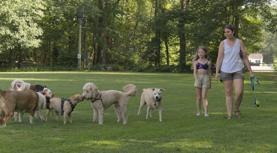 20250716_Dog Park__DSC0070_.jpg