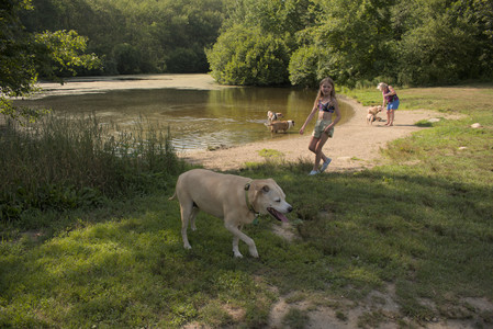 20250716_Dog Park__DSC0105_.jpg