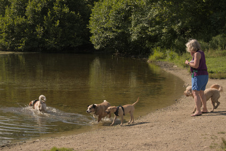 20250716_Dog Park__DSC0108_.jpg