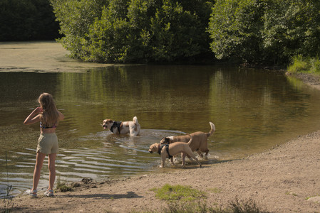 20250716_Dog Park__DSC0111_.jpg