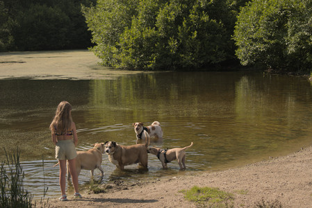 20250716_Dog Park__DSC0120_.jpg