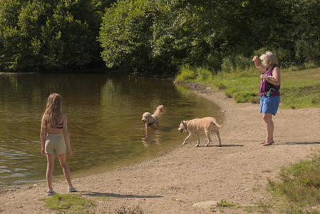 20250716_Dog Park__DSC0125_.jpg