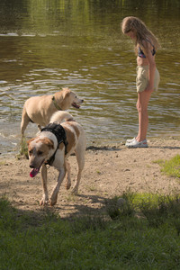 20250716_Dog Park__DSC0140_.jpg