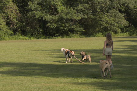 20250716_Dog Park__DSC0160_.jpg