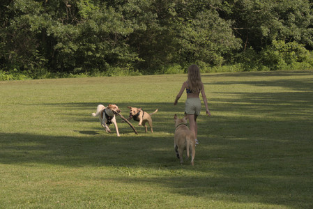 20250716_Dog Park__DSC0161_.jpg