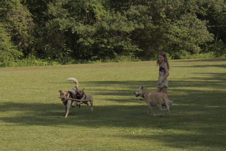 20250716_Dog Park__DSC0164_.jpg