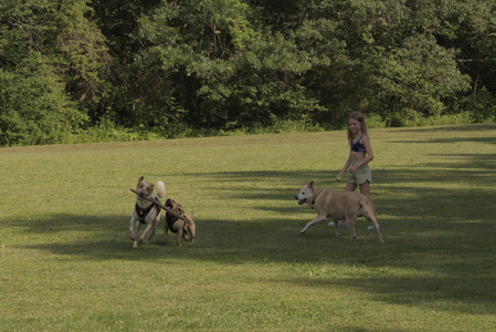 20250716_Dog Park__DSC0165_.jpg