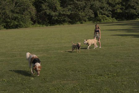 20250716_Dog Park__DSC0202_.jpg