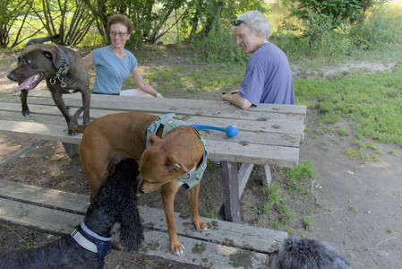 20250717_Dog Park__DSC0010_.jpg