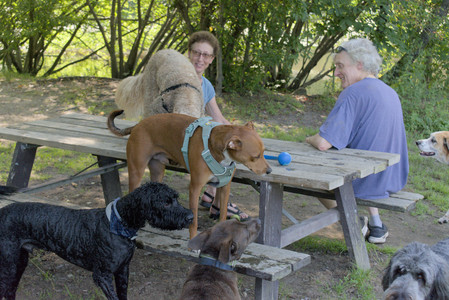 20250717_Dog Park__DSC0014_.jpg