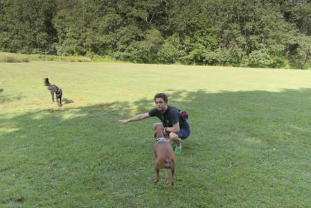 20250717_Dog Park__DSC0027_.jpg