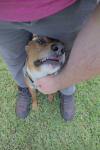 20250717_Dog Park__DSC0052_.jpg