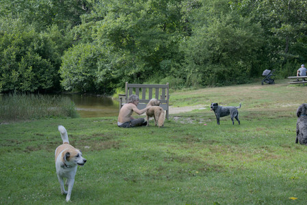 20250717_Dog Park__DSC0061_.jpg