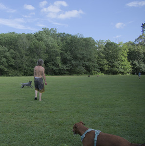 20250717_Dog Park__DSC0078_.jpg