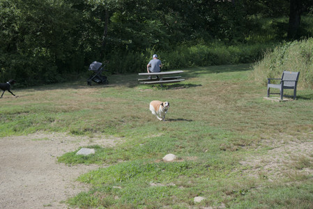 20250717_Dog Park__DSC0120_.jpg