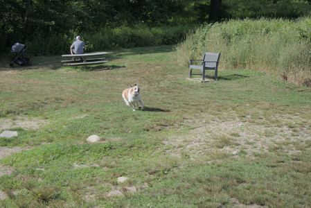 20250717_Dog Park__DSC0122_.jpg