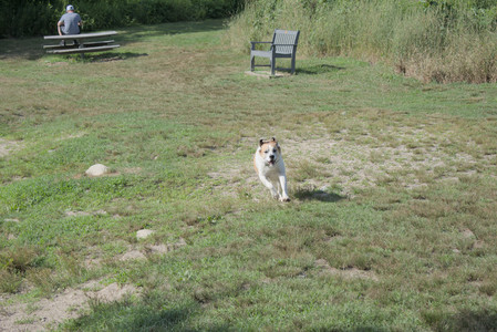 20250717_Dog Park__DSC0123_.jpg