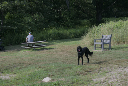 20250717_Dog Park__DSC0143_.jpg