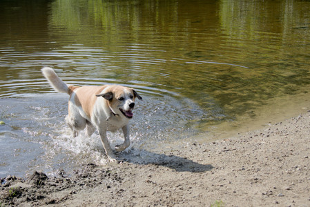 20250717_Dog Park__DSC0157_.jpg