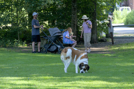 20250719_Dog park part two and baby__DSC0123_.jpg