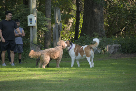 20250719_Dog park part two and baby__DSC0125_.jpg