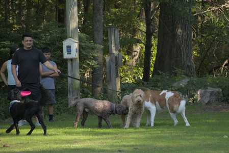 20250719_Dog park part two and baby__DSC0129_.jpg