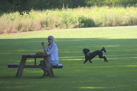 20250719_Dog park part two and baby__DSC0145_.jpg