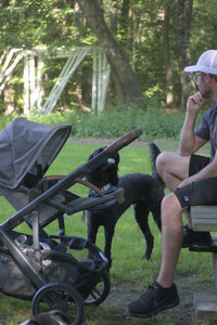 20250719_Dog park part two and baby__DSC0163_.jpg