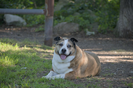 20250719_Dog park part two and baby__DSC0214_.jpg