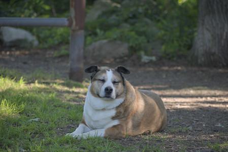 20250719_Dog park part two and baby__DSC0215_.jpg