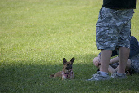 20250719_Dog park part two and baby__DSC0231_.jpg