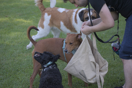 20250719_Dog park part two and baby__DSC0283_.jpg